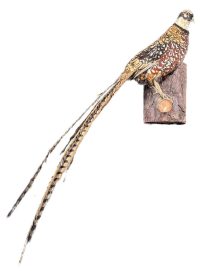 Vintage French Taxidermy Pheasant Bird On Wooden Wall Hanging Stand rustic rural ornament figurine statue trophy decor circa 1960-70’s