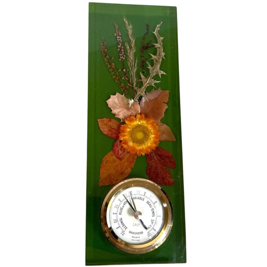 Vintage French Resin Encased Foliage Wall Hanging Barometer Barometre Weather Forecasting Instrument Hanging Wall c1970’s